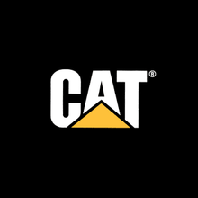CAT鞋